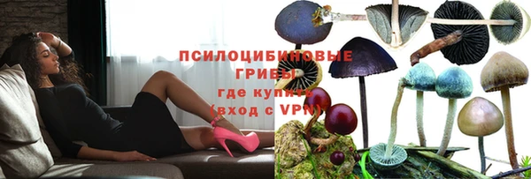 прущая мука Армянск