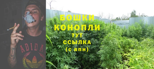 бошки Аркадак