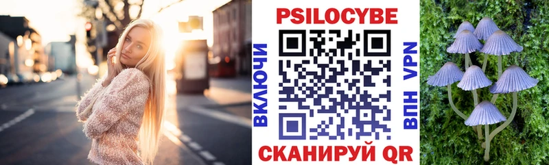 Купить закладки  Судак  Галлюциногенные грибы прущие грибы 