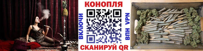Купить  Судак  МАРИХУАНА тримм 